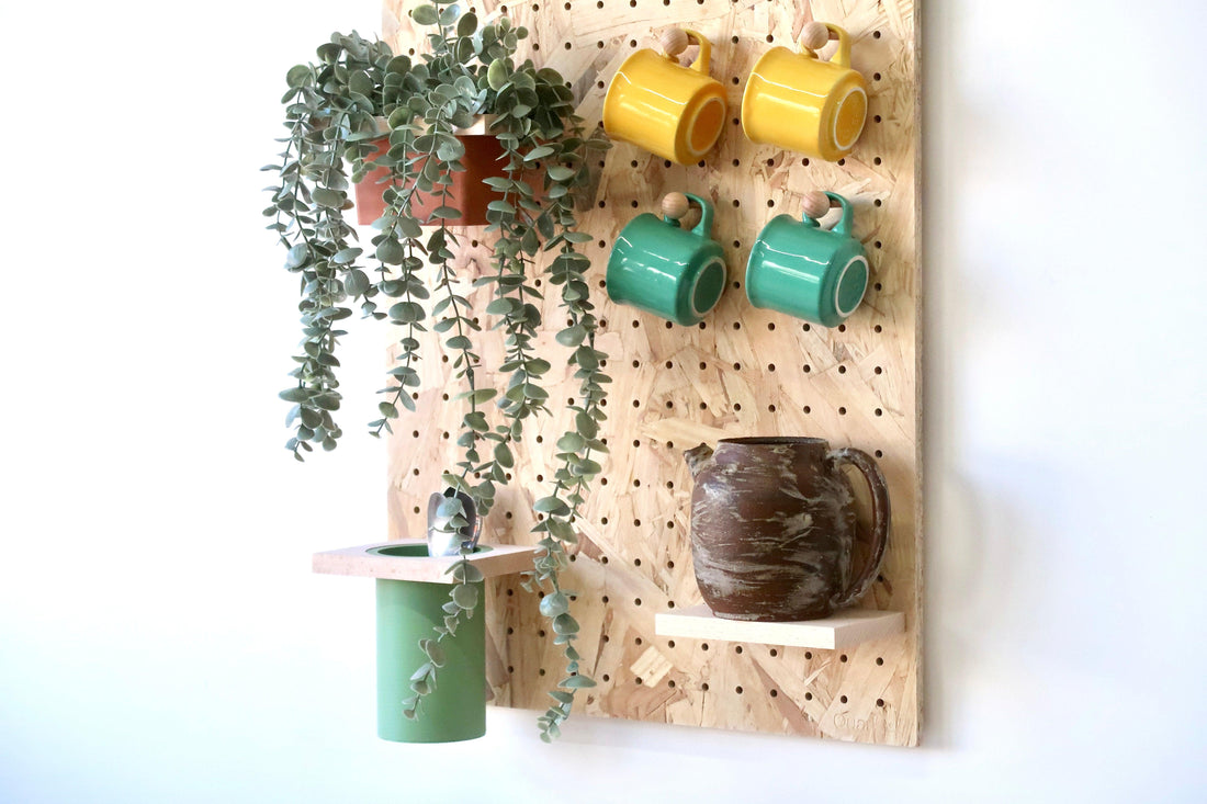 Intégrer des plantes d'intérieur dans votre décoration - Aire