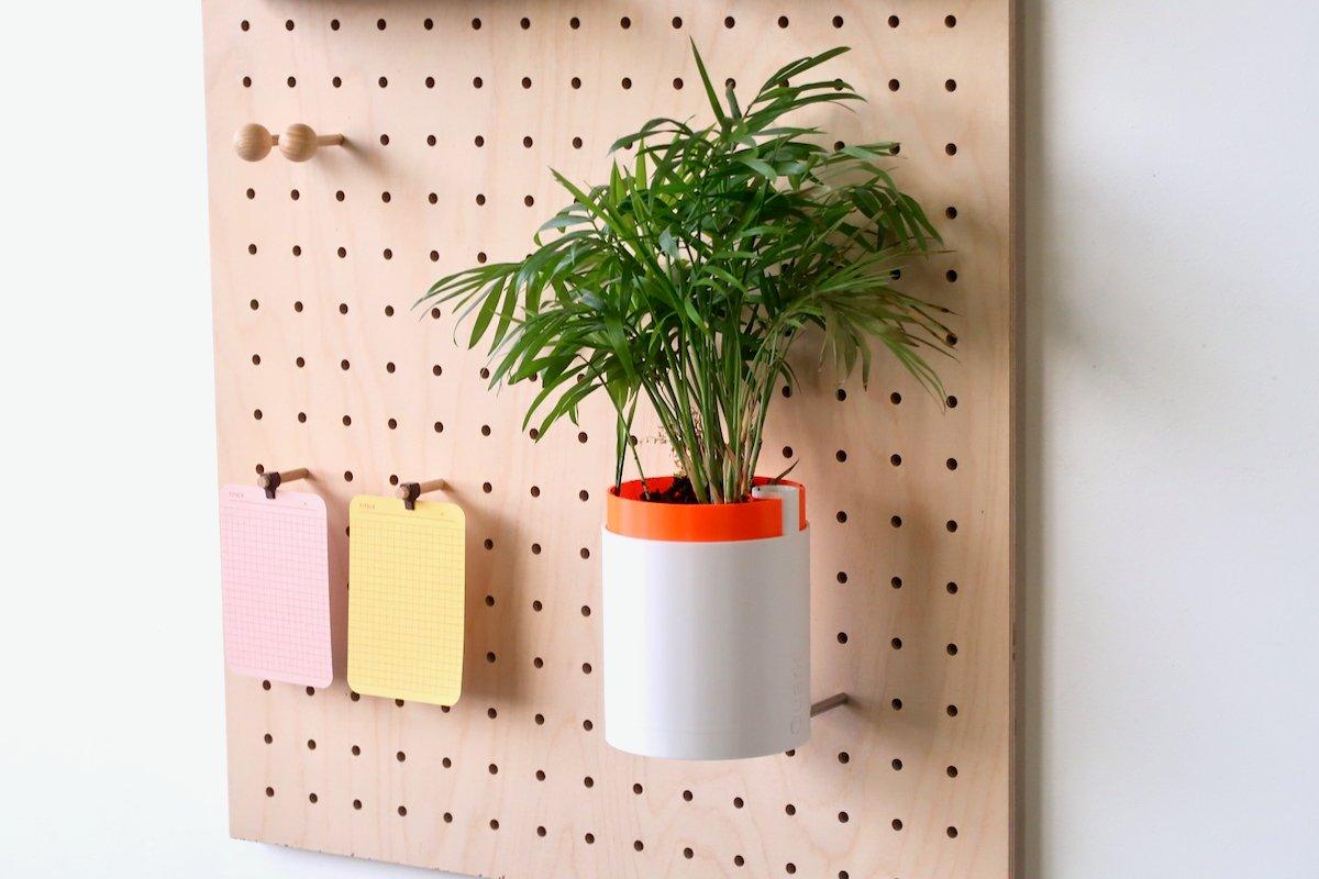 Révolution Verte : Comment l'Impression 3D Transforme les Pots de Fleurs - Aire