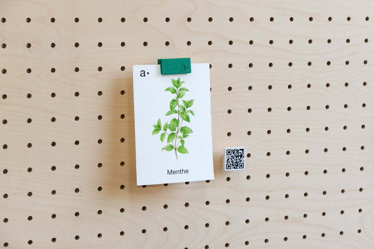 Petit QR code personnalisé imprimé en 3D à côté d'une carte botanique pincée sur un pegboard en bois clair