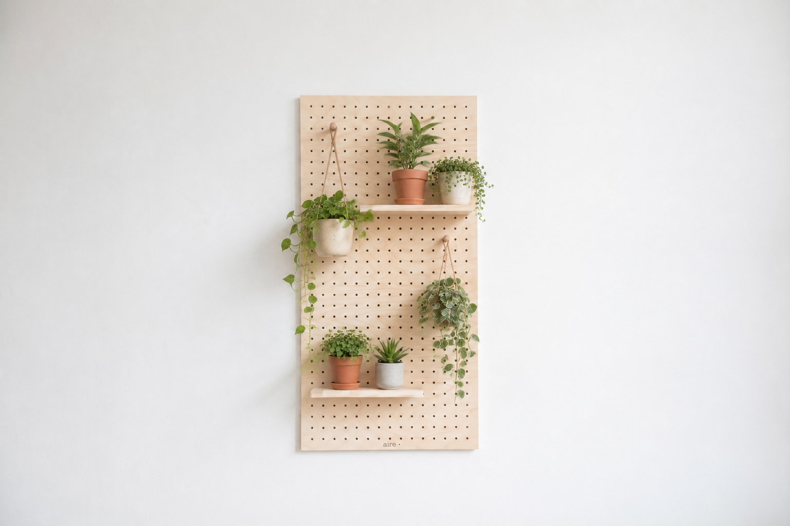 Pegboard aire décoré de plantes vertes