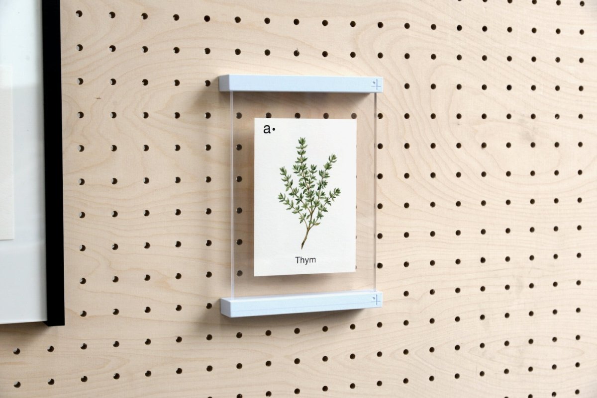 Cartes thématiques - Aire -  - 14