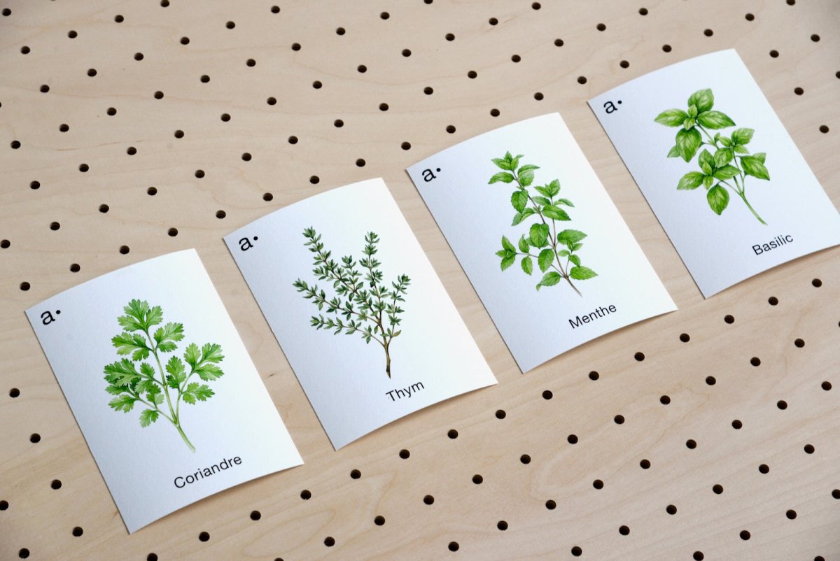 Cartes thématiques - Aire -  - 2