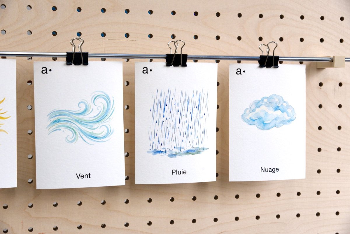 Cartes thématiques - Aire -  - 17