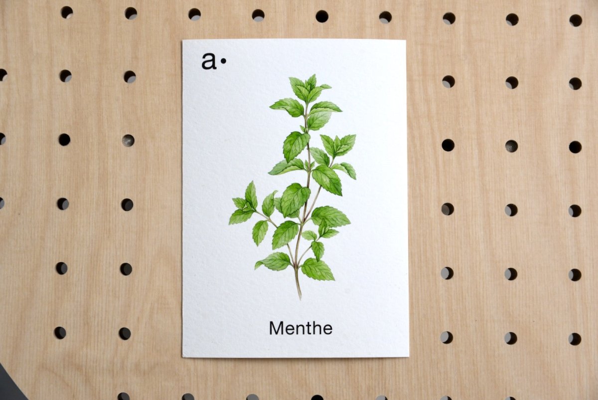 Cartes thématiques - Aire -  - 7