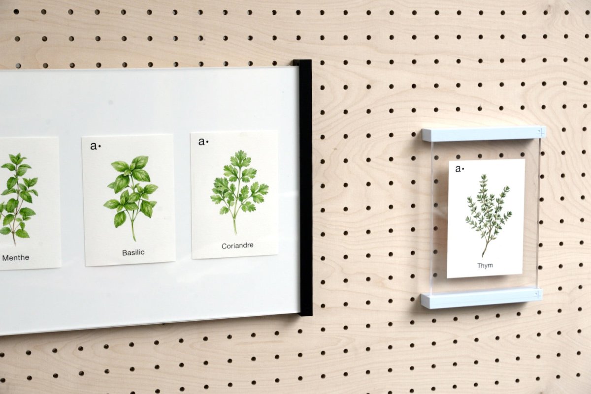 Cartes thématiques - Aire -  - 1