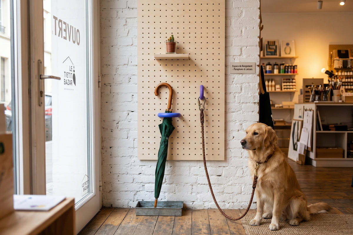 Pegboard im Ladeneingang mit farbigem Ring für Regenschirm und Hundeleine